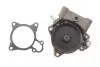 Помпа води Citroen Jumper/Peugeot Boxer 3.0HDi/Fiat Ducato 2.3D/3.0D/Iveco 06- (R/B) (незначна корозія) BUGATTI DSC_PA10125 (фото 1)