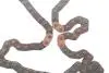 Комплект ланцюга ГРМ Hyundai H-1 (TQ)/Kia Sorento I (JC) 2.5CRDi 01- INA 559 1865 30 (фото 3)