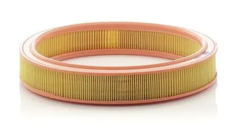 Фільтр повітряний двигуна FORD EscortExpress 1.3 JBD -FILTER MANN C30321 (фото 1)