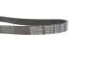 Ремінь генератора Skoda Octavia/VW Golf 1.6-2.0/1.9TDI 97-13/Passat B6/B7 1.8-2.0TSI/T5 1.9TDI 03-15 DAYCO 6PK1120S (фото 3)