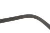 Ремінь генератора Skoda Octavia/VW Golf 1.6-2.0/1.9TDI 97-13/Passat B6/B7 1.8-2.0TSI/T5 1.9TDI 03-15 DAYCO 6PK1120S (фото 4)