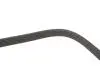 Ремінь генератора Skoda Octavia/VW Golf 1.6-2.0/1.9TDI 97-13/Passat B6/B7 1.8-2.0TSI/T5 1.9TDI 03-15 DAYCO 6PK1120S (фото 4)