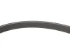Комплект ременя генератора Citroen Jumpy/Peugeot Expert 2.0 BlueHDi 16- PSA 1687977080 (фото 9)