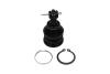 KAVO PARTS TOYOTA кульова опора Yaris 1.0 05-11, 1.8 07-11 SBJ-9034 KAVO PARTS SBJ-9034