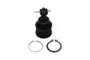 KAVO PARTS TOYOTA кульова опора Yaris 1.0 05-11, 1.8 07-11 SBJ-9034 KAVO PARTS SBJ-9034