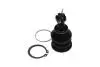 PARTS TOYOTA кульова опора Yaris 1.0 05-11, 1.8 07-11 PARTS KAVO SBJ-9034 (фото 2)