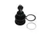 PARTS TOYOTA кульова опора Yaris 1.0 05-11, 1.8 07-11 PARTS KAVO SBJ-9034 (фото 4)