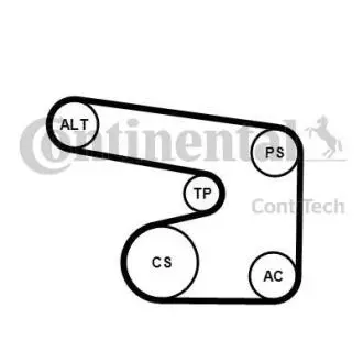 Комплект поліклинових ременів Contitech 6PK1900K1