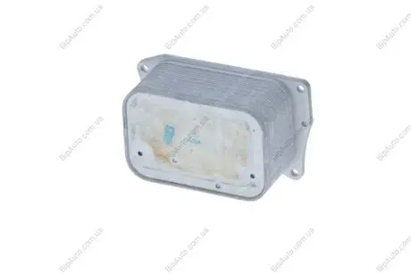 Радиатор масла NRF 31811