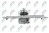 Насос водяной двигателя Nty CPWMZ048 (фото 4)