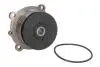 Насос охолоджуючої рідини, MASSEY FERGUSON 3075, 3085, 3095, 3105 VOLVO BL60, BL60B, BL61, BL61 PLUS, BL61B, BL70, BL70B, BL71, BL71 PLUS, BL71B, EC135B, EC140B, EC160B, EC160B NLC, EC160C DOLZ D301 (фото 1)