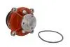 Насос охолоджуючої рідини, MASSEY FERGUSON 3075, 3085, 3095, 3105 VOLVO BL60, BL60B, BL61, BL61 PLUS, BL61B, BL70, BL70B, BL71, BL71 PLUS, BL71B, EC135B, EC140B, EC160B, EC160B NLC, EC160C DOLZ D301 (фото 2)