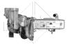 Радіатор рециркуляції ВГ з клапаном EGR Citroen Jumpy/Peugeot Expert 2.0 HDi 10- NRF 48204 48204