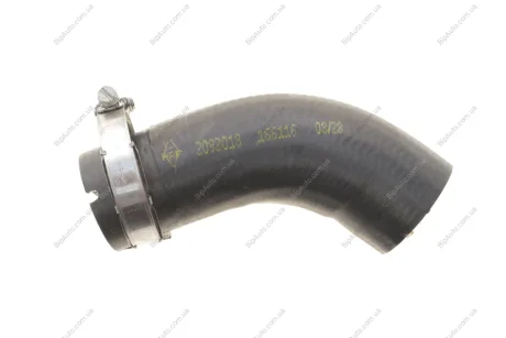 Патрубок інтеркулера Ford Transit 2.2TDCI 06- (короткий) NRF 166116 (фото 1)