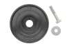 Шків колінвалу + шків генератора Citroen Berlingo/Jumpy/Peugeot Expert 1.9D/2.0HDI 98- (6PK) (з болтами) IJS GROUP 17-1085SET (фото 1)