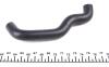 Патрубок насосу вакуумного Ford Connect 1.8 TDI-TDCi 02- DP DP Group BS 8148 (фото 2)
