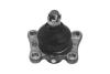 Шарова опора Лів/Прав (нижн передн) (діаметр конуса 20mm) TOYOTA 4 RUNNER I, DYNA, HILUX IV, HILUX V 2.0-3.0D 08.83- MOOG TOBJ10434 TOBJ10434