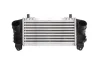 Інтеркулер AUDI A2, A4 B6 1.2D/1.4D/1.8 02.00-10.05 THERMOTEC DAA007TT (фото 1)
