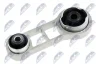 Опора двигуна задня Renault Clio I, Megane I, Scenic 1.4-2.0 01.91-08.03 Nty ZPS-RE-037 (фото 2)