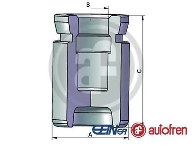 Комплект поршнів супорта SEINSA AUTOFREN D025352