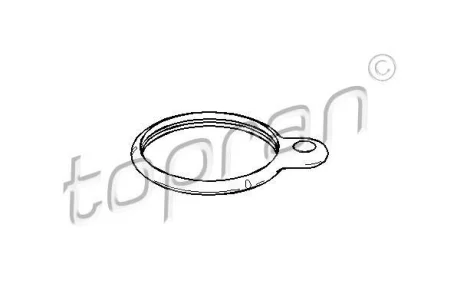 Ущільнення, термостат TOPRAN TOPRAN / HANS PRIES 400691 (фото 1)