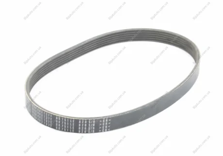 Пас генератора полiклиновий VAG 030903137T