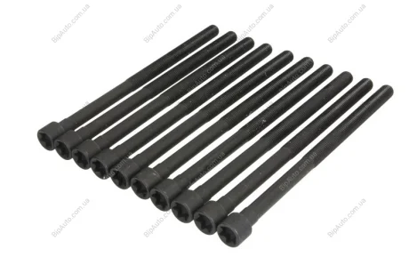 Набір болтів ГБЦ BMW 1 (F20), 1 (F21), 2 (F22, F87), 2 (F23), 2 (G42, G87), 3 (F30, F80), 3 (F31), 3 (G20, G80, G28), 3 (G21), 3 (G21, G81), 3 GRAN TURISMO (F34), 4 (F32, F82) 2.0/2.0H 07.15- ELRING 794470