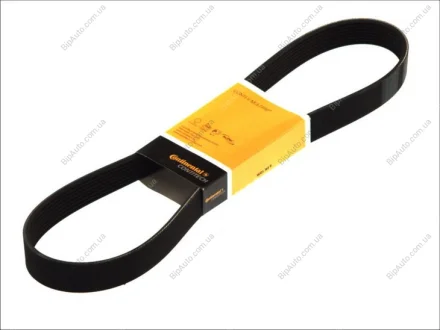 Поклиновий ремень CONTINENTAL Contitech 8PK800