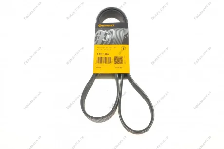 Фото 1 - пас поліклиновий MB Atego CONTINENTAL Contitech 8PK1376 Пас поліклиновий MB Atego CONTINENTAL Contitech 8PK1376 (фото 1)