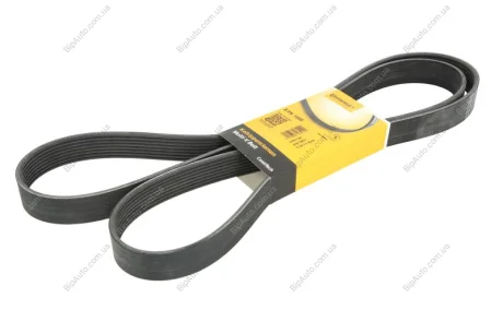 Поклиновий ремень CONTINENTAL Contitech 8PK1955