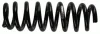 Пружина підвіски задн лів/прав BMW 1 (F20), 1 (F21), 3 (E91), 3 (E93) 1.5-3.0D 12.04-06.19 SACHS 994484 (фото 1)