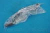 Патрубок системи охолодження DAEWOO REZZO(U100) PARTS-MALL PXNMC-103 (фото 1)