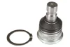 Шарова опора лів/прав (нижн передн) (діаметр конуса 18mm) HYUNDAI I10 II, I10 III KIA PICANTO II, PICANTO III, RIO II, RIO III, SOUL I 1.0-1.6LPG 03.05- MOOG KI-BJ-12659 (фото 1)