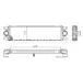 Інтеркулер NISSAN INTERSTAR OPEL MOVANO A RENAULT MASTER II 1.9D-3.0D 12.97- THERMOTEC DAR002TT (фото 2)