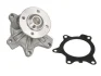 Насос охолоджуючої рідини, з ущільненням MINI (R50, R53)  TOYOTA AURIS, COROLLA, YARIS 1.3/1.4D 09.02-12.18 THERMOTEC D12093TT D12093TT