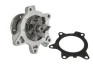 Насос охолоджуючої рідини, з ущільненням MINI (R50, R53) TOYOTA AURIS, COROLLA, YARIS 1.3/1.4D 09.02-12.18 THERMOTEC D12093TT (фото 2)