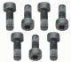 Комплект болтів маховика (M9x1мм  довжина24mm) SACHS 1874 000 040 1874 000 040