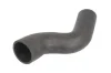 Шланг інтеркулера LAND ROVER DISCOVERY II 2.5D 11.98-06.04 THERMOTEC DCI007TT DCI007TT