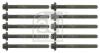 FEBI RENAULT К-т болтів кріплення головки блоку Nissan,Opel Vivaro, Movano,Master, Trafic II 24075 FEBI 24075